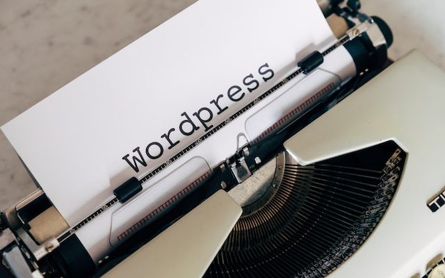 wordpress theme